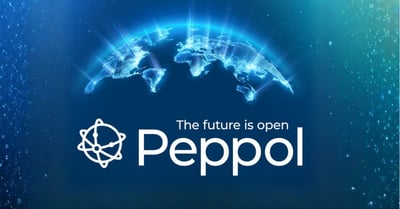 >Stap over op Peppol...